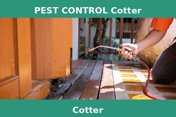 PEST CONTROL Cotter